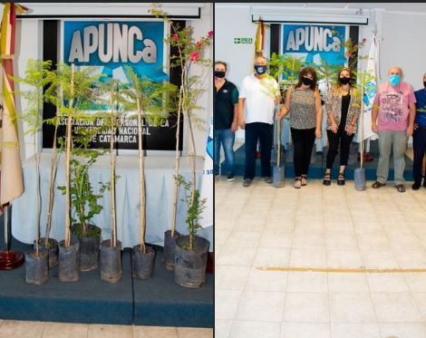 DONACIÓN DE PLANTAS A LA APUNCa